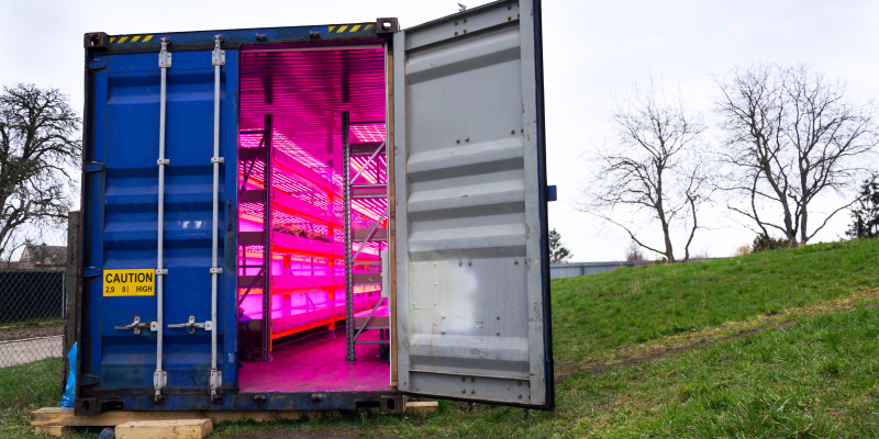 container-farming A ready to go shipping container with installed hydroponics illustrates container farming.